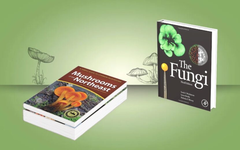 10 Best Mycology Textbooks 2023 - For Fungi Fanatics - Gift Lit